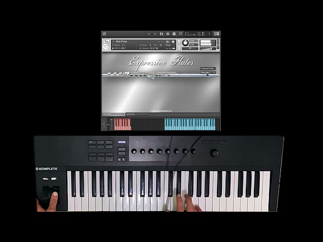 Kontakt Flutes | Expressive Flutes VST – Komplete Kontrol Performance