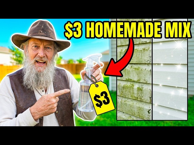 Spray This $3 Homemade Mixture on House Siding... Kills Green Algae & Moss Fast