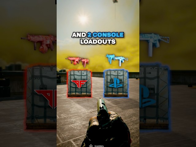 PRO vs CONSOLE LOADOUTS on Rebirth