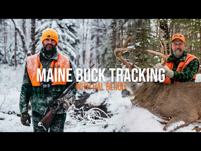 Maine Buck Tracking with Hal Blood | Big Woods Hunting | Follow Me