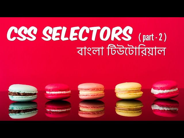 CSS Selectors ( part - 2 ) | EP 33