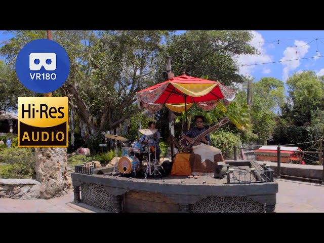 South Asian Music at Disney's Animal Kingdom