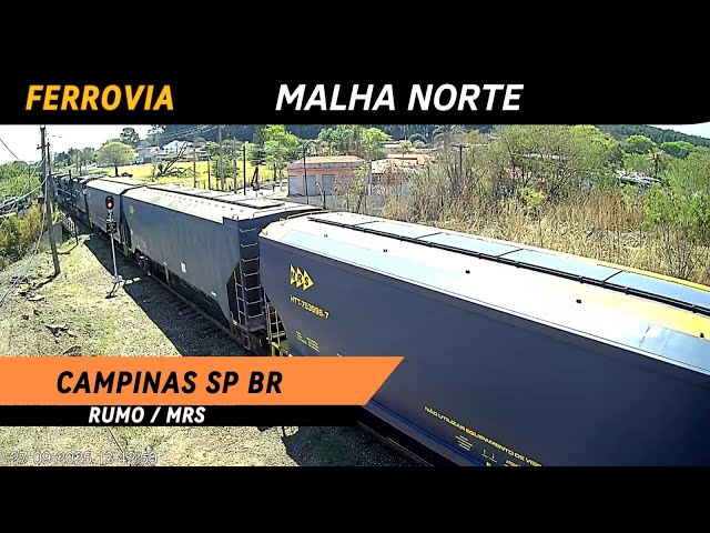 TREM AO VIVO BOA VISTA VELHA - CAMPINAS SP BRASIL