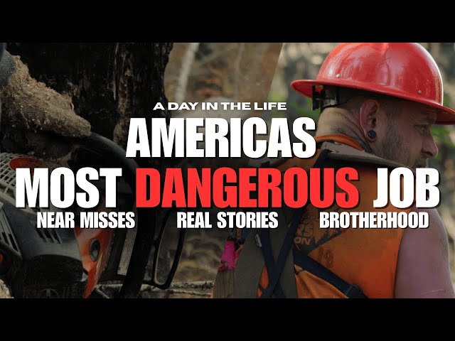 The Most Dangerous Job In America: Logging | Timber Faller