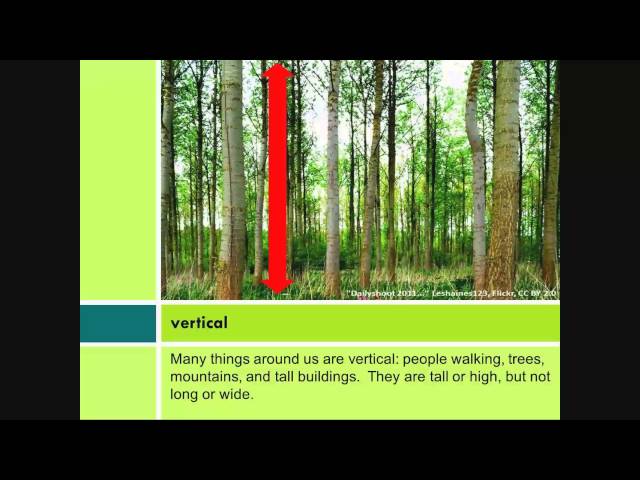 Math Basics: Basic Math Operations