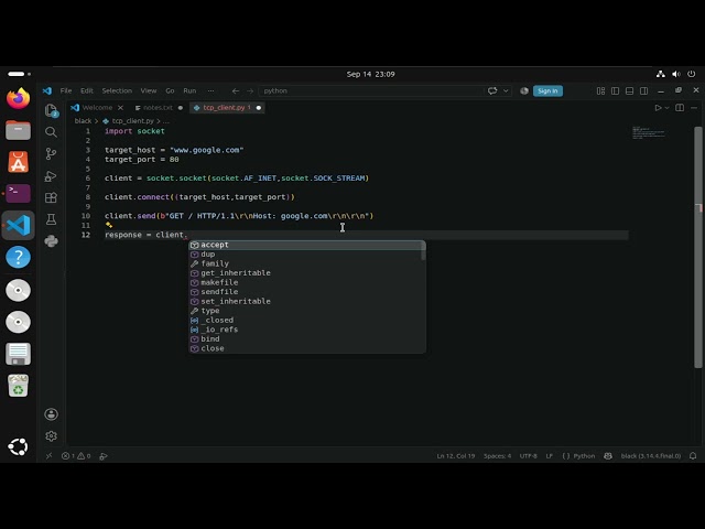 your first code - TCP client