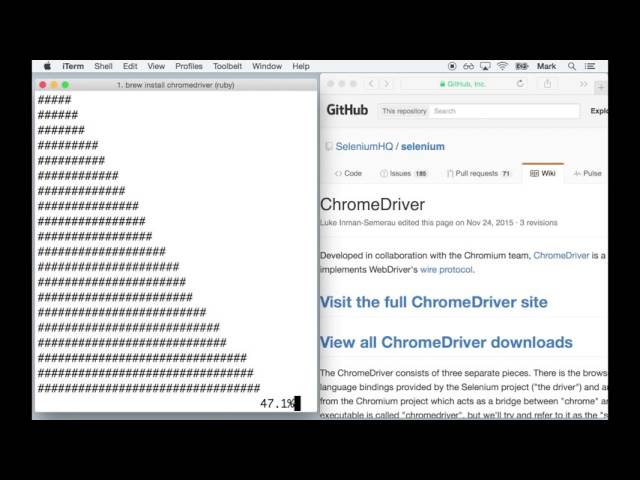Setting Up ChromeDriver — Selenium WebDriver