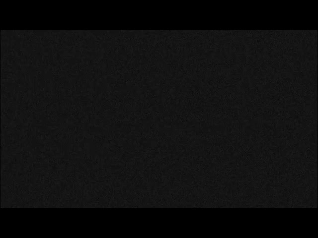 Kisatchie National Forest E-1 Canopy cam, Louis II and Anna II.