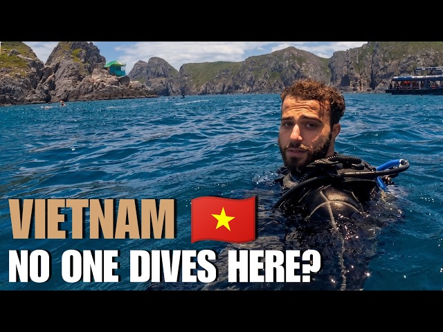 What Scuba Diving Vietnam ACTUALLY Looks Like
