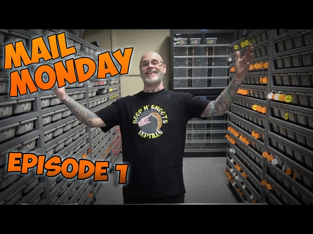 Mail Monday Episode 1