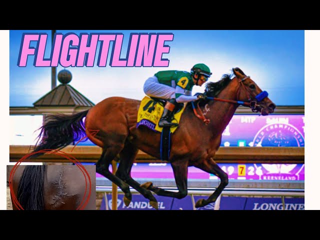 FLIGHTLINE, the world's best racehorse today 🏇🏆