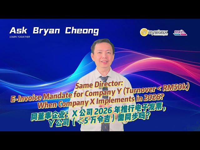 Same Director: E-Invoice for Different Company, Different  Turnover