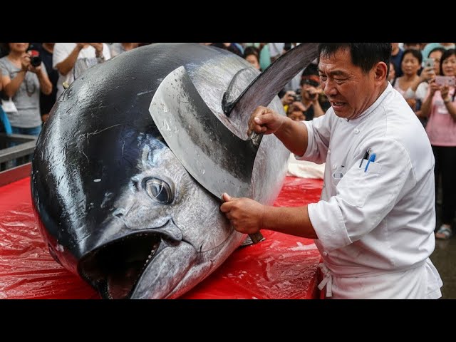 Fastest Hands Alive Demolish a 479KG Bluefin Tuna—INSANE SPEED! #KnifePrecision