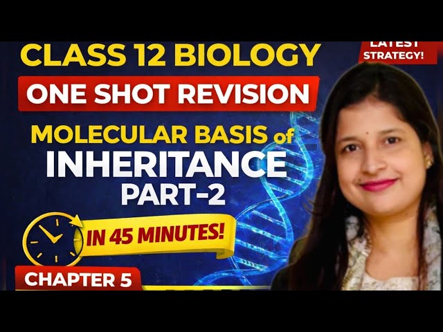 Class 12 Biology Chapter 5 | Molecular Basis of Inheritance Part 2 | Complete One Shot Revision 