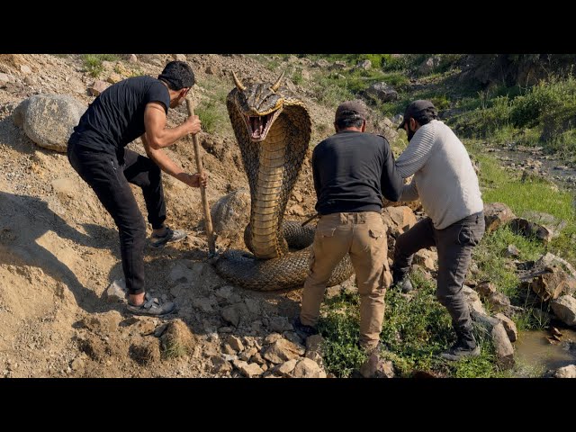 The Biggest Treasure Discovery We've Ever Made ❗