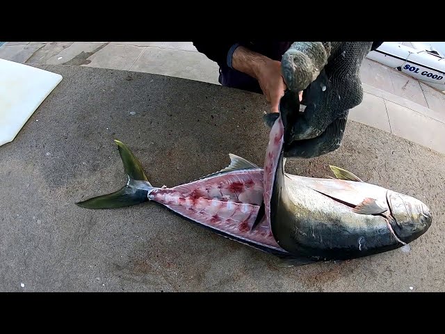 How to Fillet Fish - Saltwater Fishing