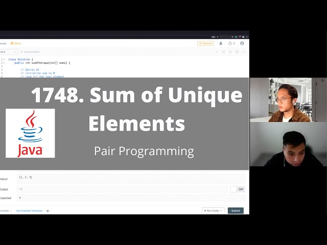 1748 Sum of Unique Elements - LeetCode Pair Programming in Java