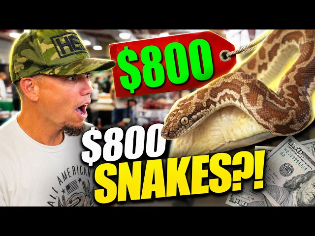 People Spent HOW MUCH at This Reptile Expo?!