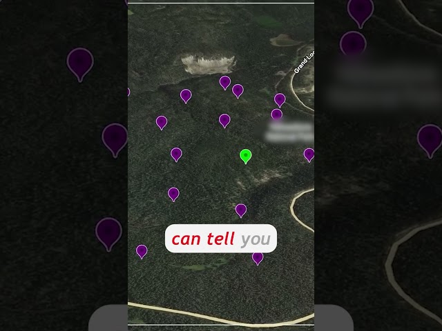 This AI Found Wolves Humans Missed #shortvideo #facts #happynewyear #wildlife #shortvideos #history