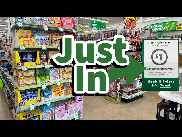 Dollar Tree 2026 | NEW Finds This Week😮😮😮