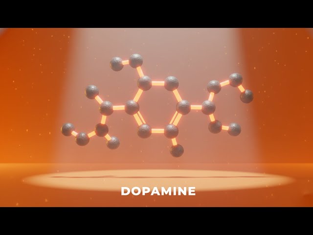 Why are we addicted to Dopamine