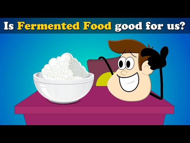 Is Fermented Food good for us? + more videos | #aumsum #kids #science #education #children