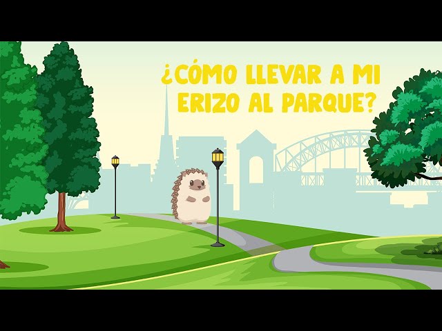 How do I take my hedgehog to the park? | Erizoo Mexico