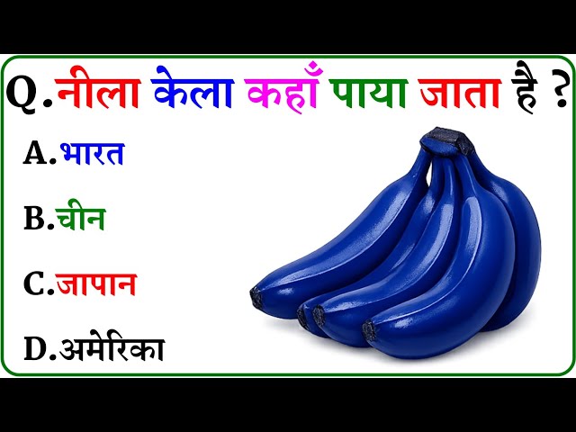 GK Questions || GK in Hindi || GK Question and Answer || GK Quiz ||