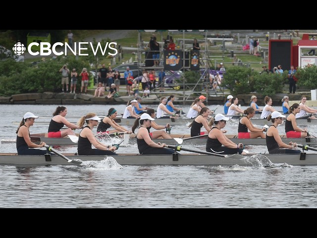 208th Royal St. John's Regatta gets green light