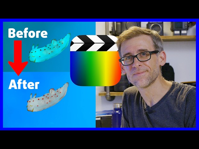 HOW TO color correct BLUE UNDERWATER FOOTAGE 🤔