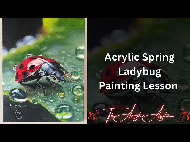 Acrylic Spring Ladybug Painting Lesson
