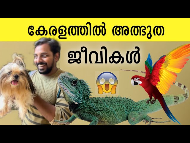 അത്ഭുത ജീവികളുടെ അമ്പരപ്പിക്കുന്ന കാഴ്ച്ചകൾ | Pet Station Kannur | Travelgunia | vlog 159