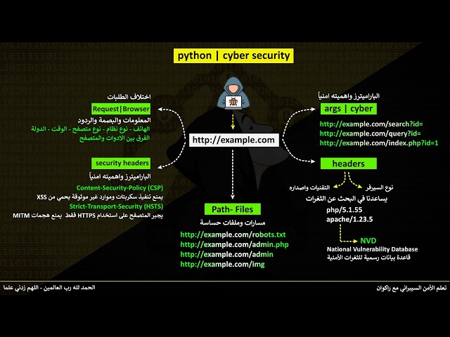 Python and Cybersecurity | Server Information: From Code to Vulnerability