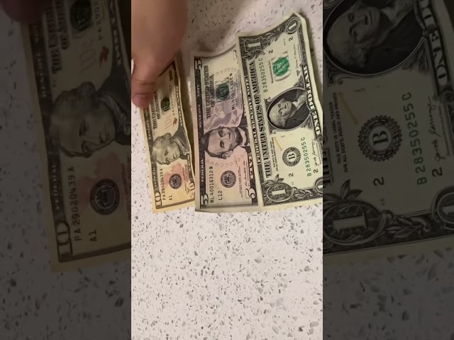 US Dollars are of Same Size | US Currency #usa #america #dollar
