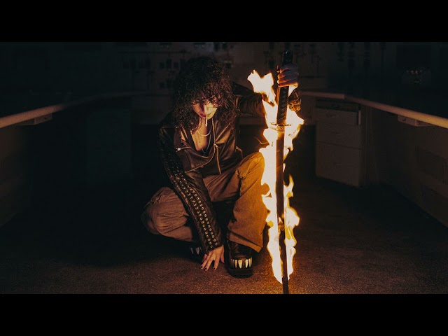 Jane Remover — Professional Vengeance (audio)