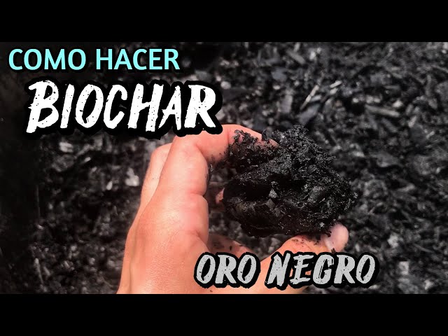 BIOCHAR IN 6 STEPS - quick and easy (Kon-tiki method)