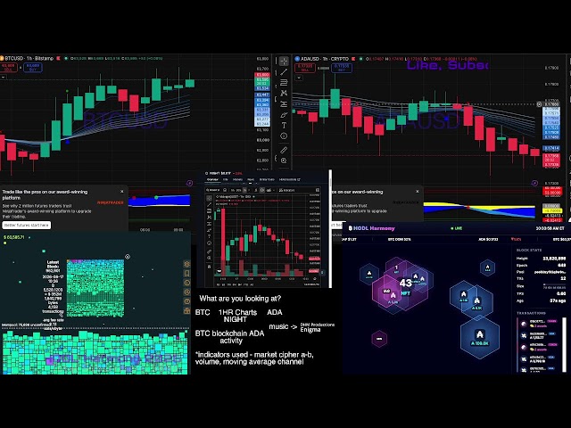 Charts and Chains watch LIVE 24/7 - educational chart and chain watch - BTC - ADA - NIGHT
