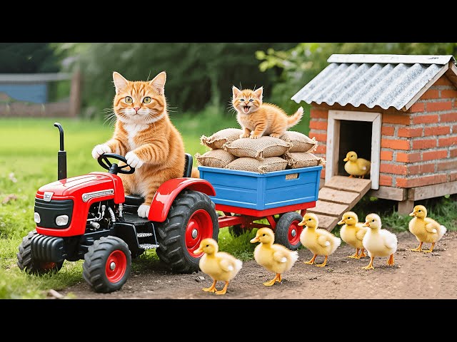 Kitten Helps Mama Cat Build a New Home for Ducklings A Peaceful Healing Story 🐾🐱🐤🏡