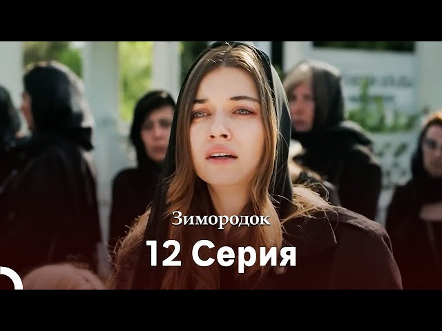 Зимородок 12 Cерия (Русский дубляж)(Длинная Bерсия)