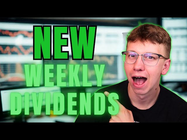 *NEW* NVII Weekly Dividend ETF Could Be WILD!