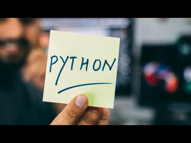 Top 5 Best Programming Languages to Learn in 2024