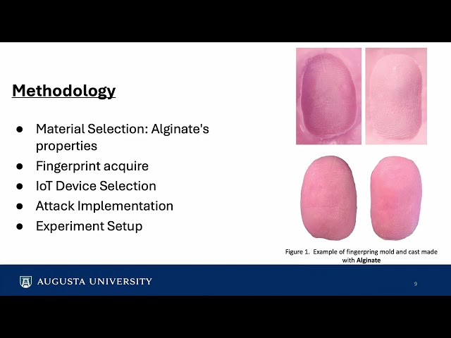 RSTCON 2025 - From Seaweed To Security - Pouria Rad