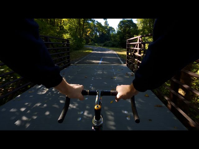 My Dream Morning Commute