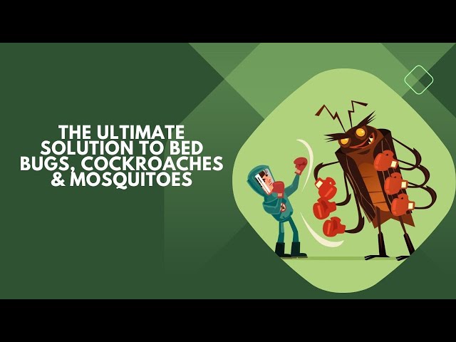 Ultimate Solution to bed bugs and mosquitoes At a Go
