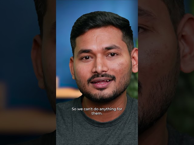 Can AI Replace Coders?