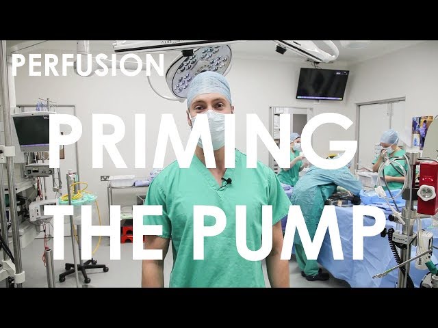 Priming The Pump - Perfusion