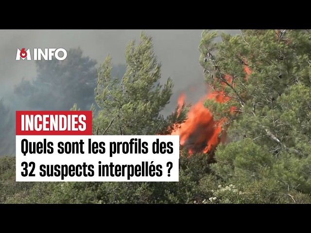 Wildfires: What are the profiles of the 32 suspects arrested?