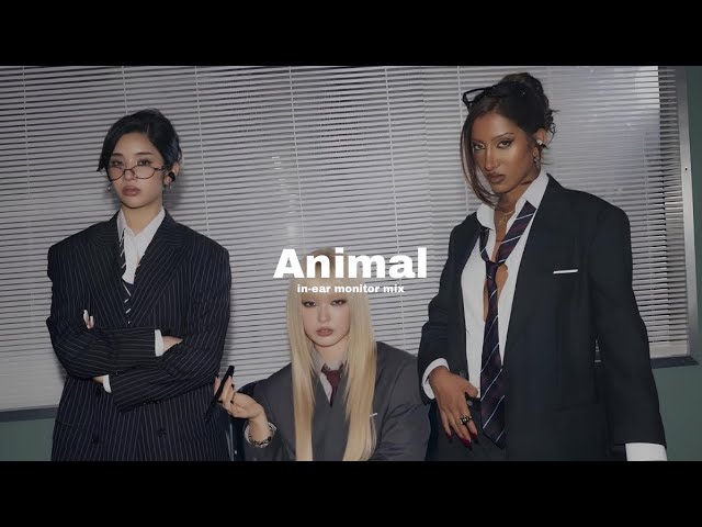 KATSEYE - Animal - in-ear monitor mix | use headphones 