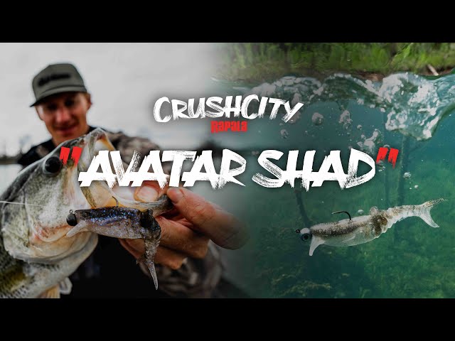 Rapala® | NEW CrushCity™ Avatar Shad