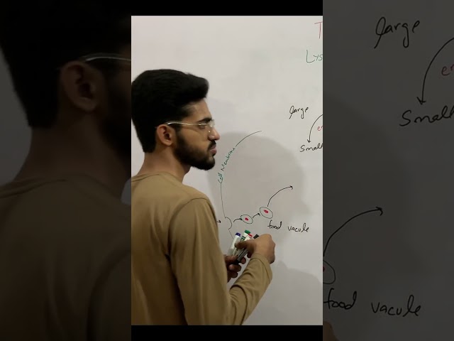 Lysosomes Part 2 | Functions & Importance of Lysosomes | Biology Class 9 | FBISE 2026